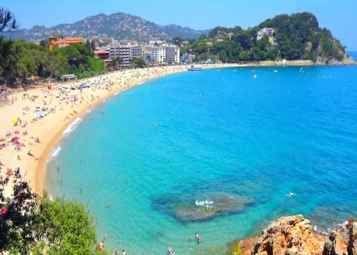 公寓 Bonito Go2lloret